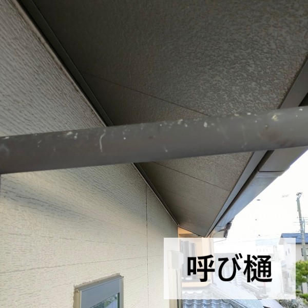 呼び樋　鳩の糞が溜まっている